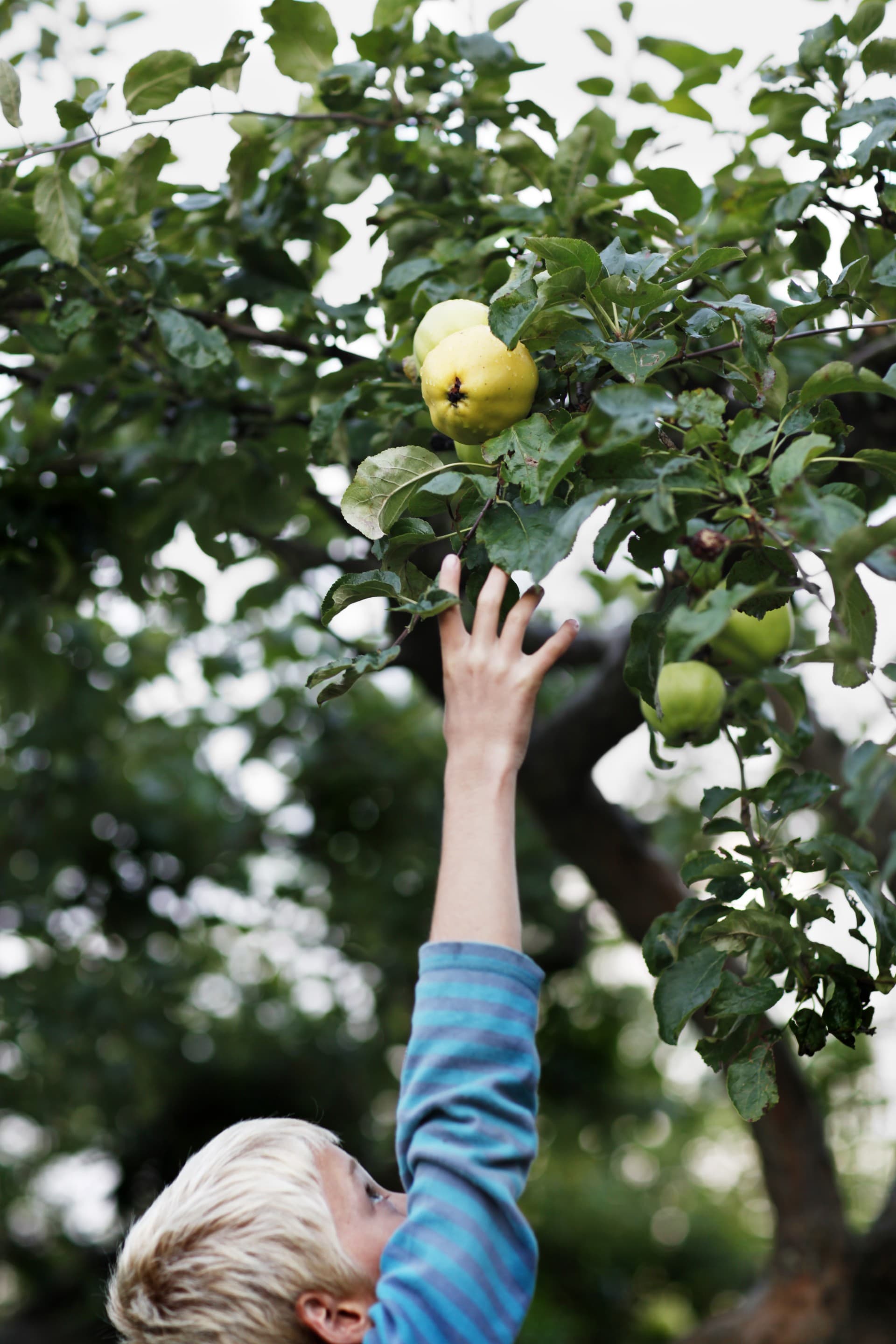 Byhøyden — en naturlig del av Kvadraturen
